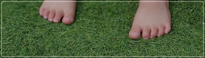 全緑宣言HP はこちら