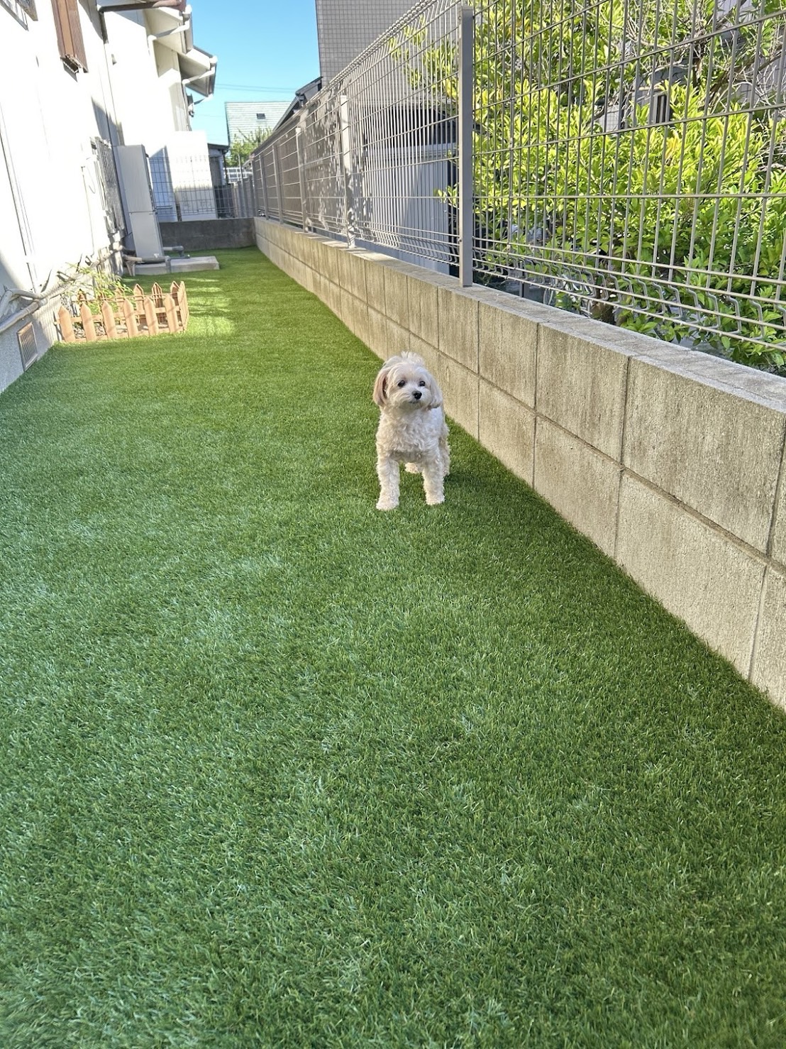 糟屋郡桜丘 ドッグランスペース